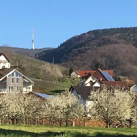Apartment Ferienwohnung Bäuerle *